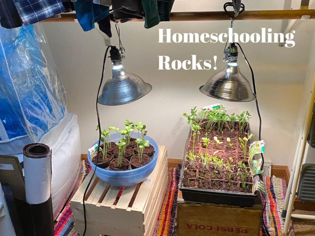 this is where homeschooling vs public school can not compare. we got to do so many cool things. when we wanted.