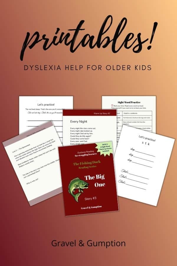 The FIshing Dock Reading Series Story 3 The Big One decodable reader for older kids with dyslexia 